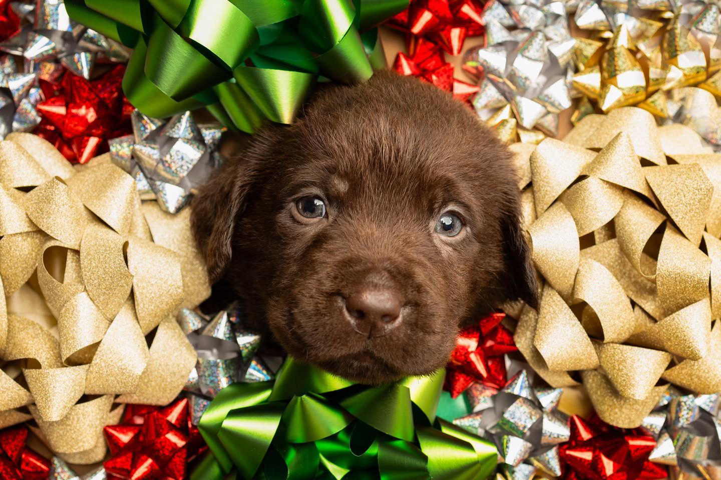 65B1F35C-715B-4FFE-8A93-A14BCCF4E441