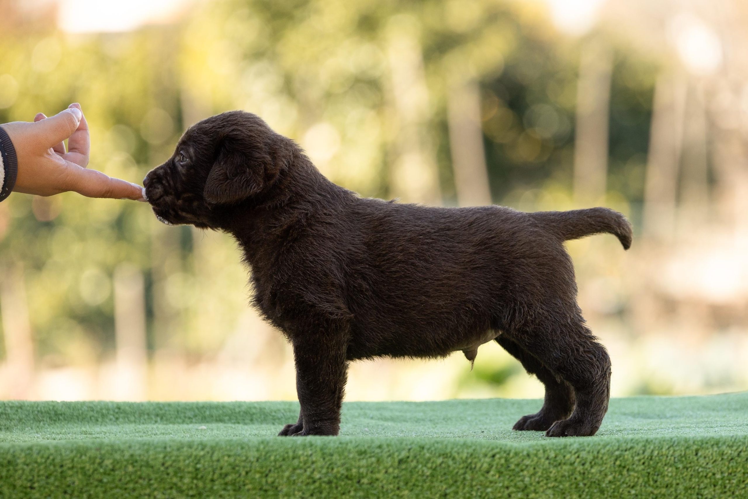 704C463A-489D-4464-8BA5-AAB2F29D4798